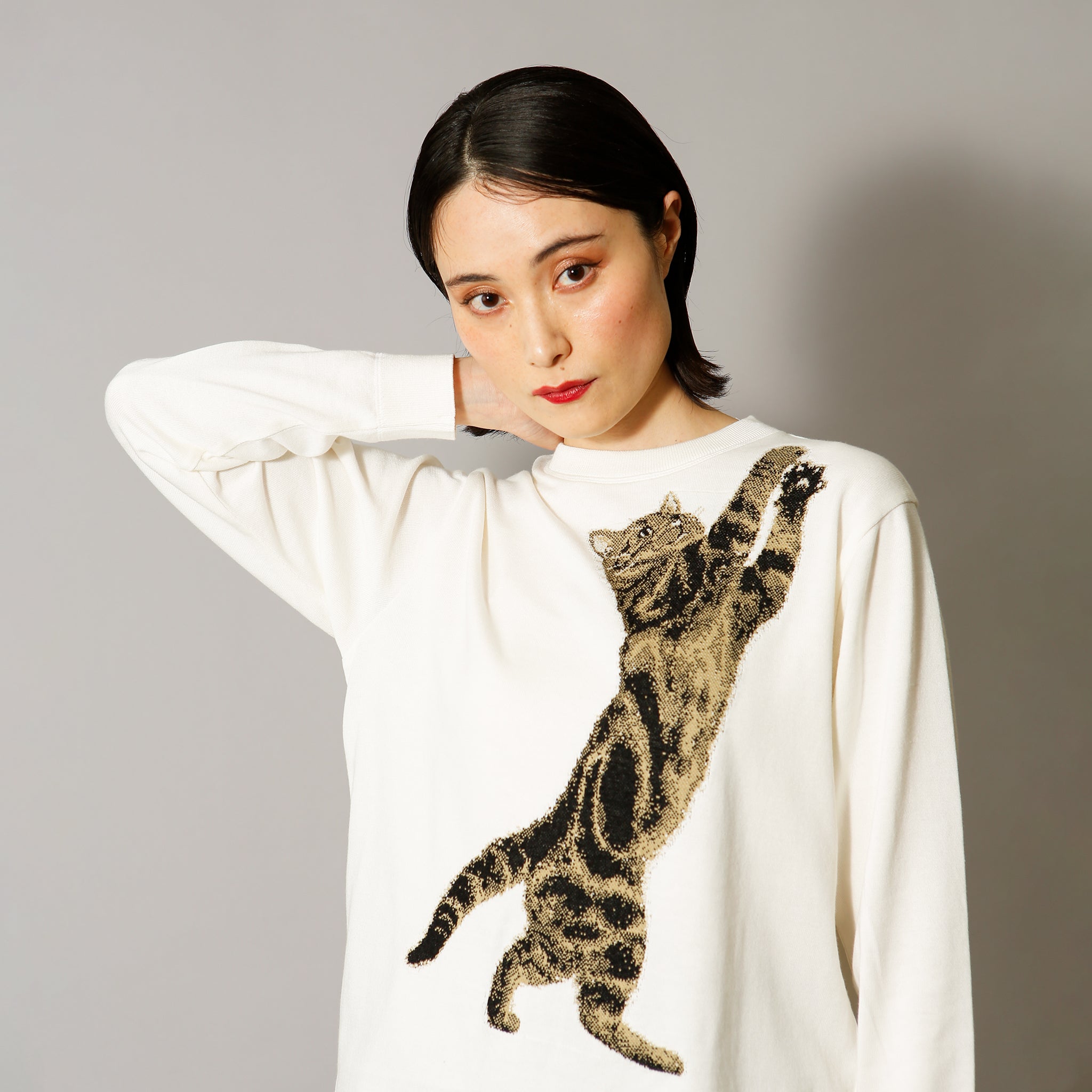 予約販売【NYANDER KNIT/ニャンダーニット】Reaching Cat pull