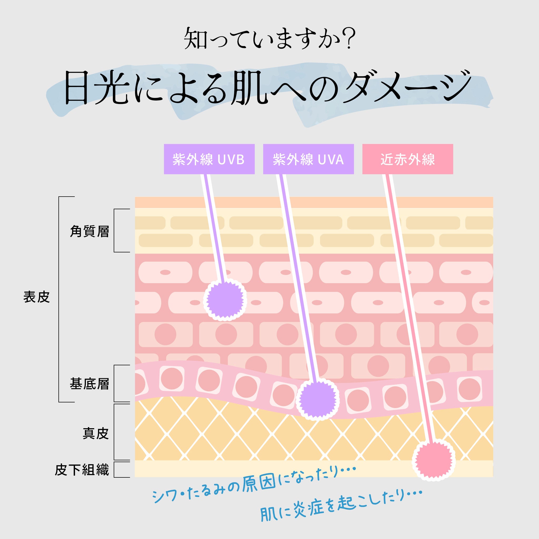 【公式】コカゲル (UV100%カット)晴雨兼用 折り畳み傘 / 帽子専門店 ATRENA(アトレナ)オンラインストア
