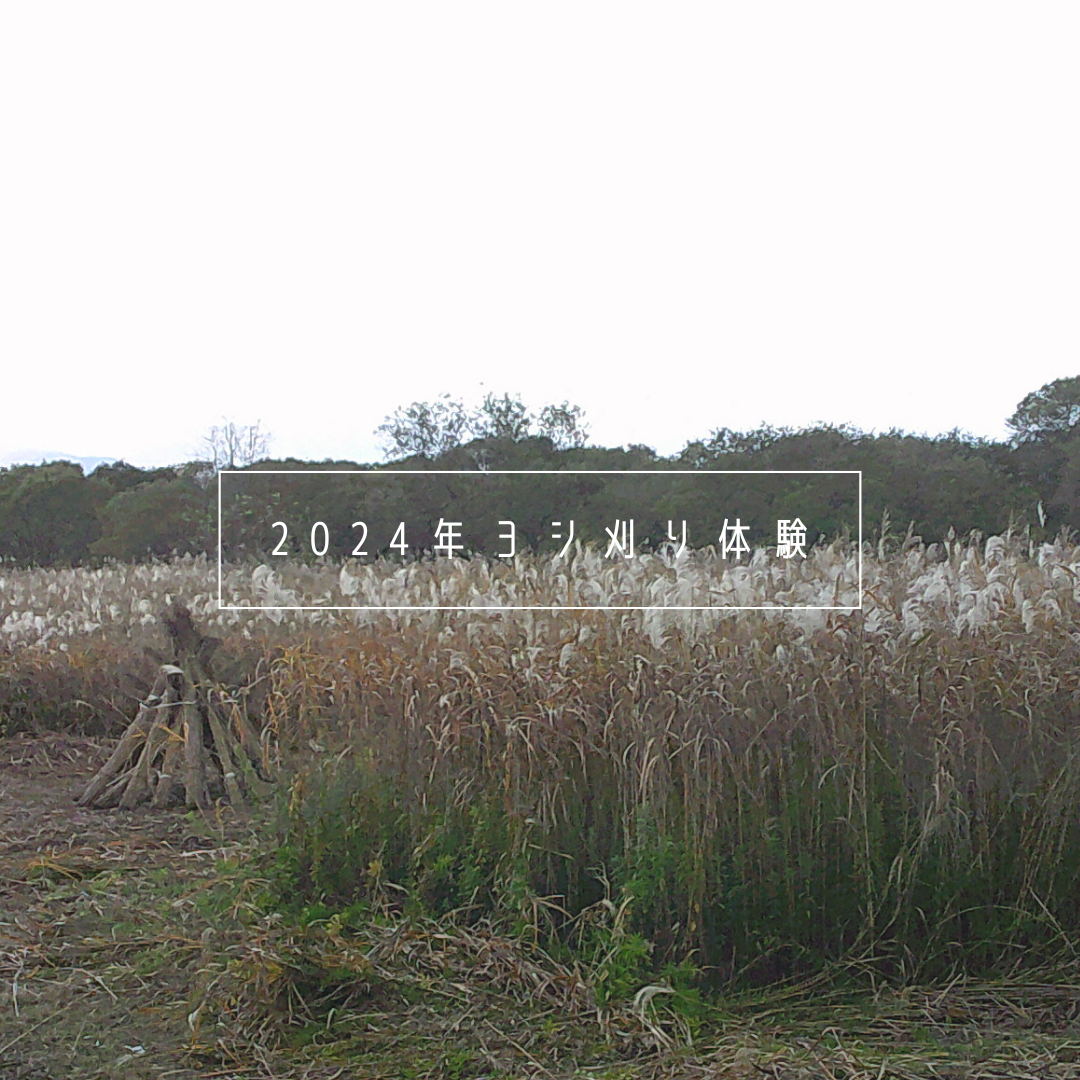 地域資源を活かす挑戦 ～『ヨシを守る会』と関西万博への歩み～